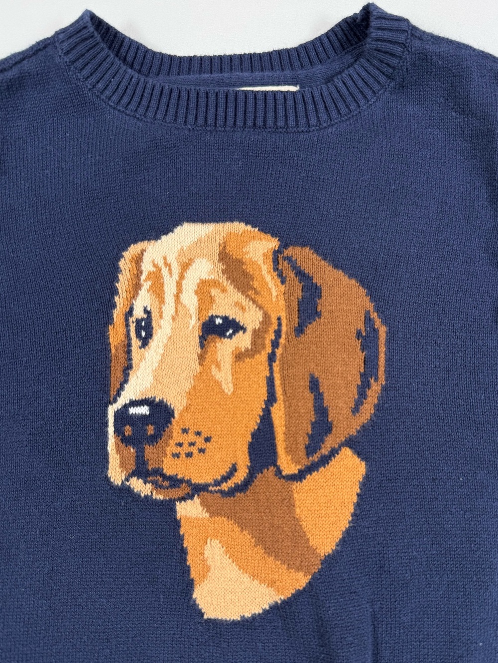 HOPE & HENRY Boys Labrador Retriever Sweater XXS 2T-3T Preppy Equestrian Prep - Picture 8 of 10
